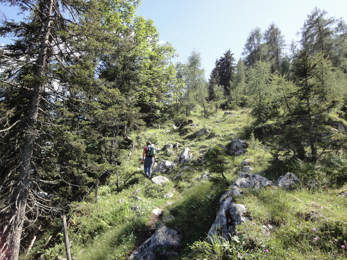 Köglhörndl 04913.JPG