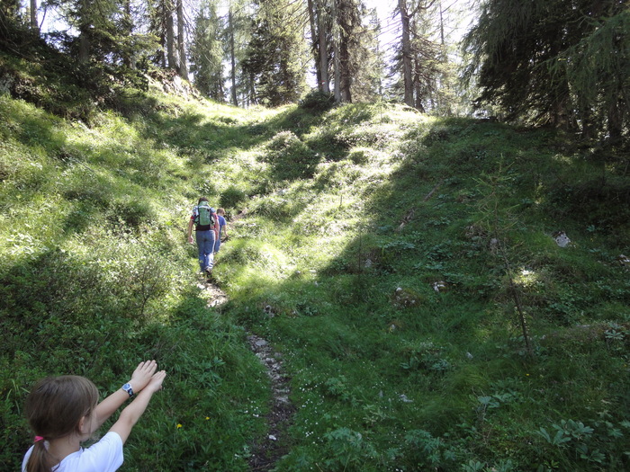 Köglhörndl 04920.JPG