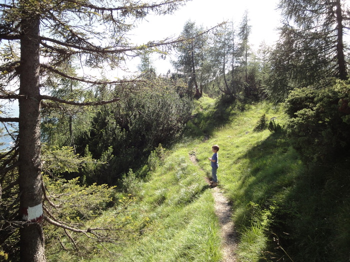 Köglhörndl 04945.JPG