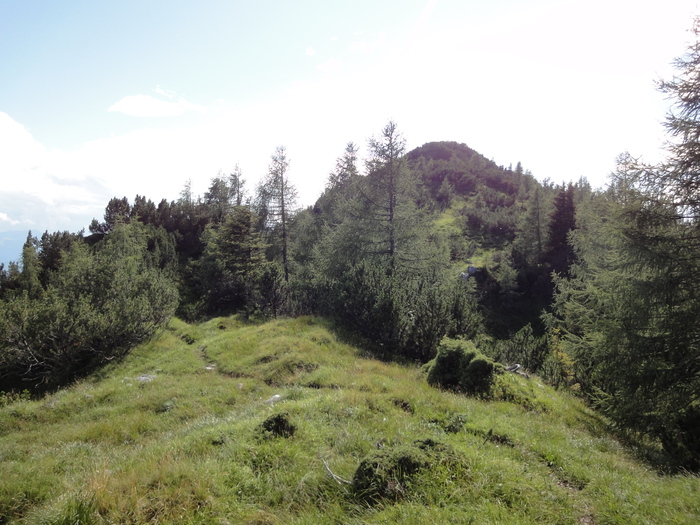 Köglhörndl 04948.JPG