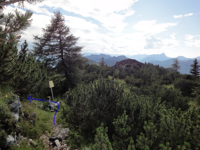 Köglhörndl 04982.JPG