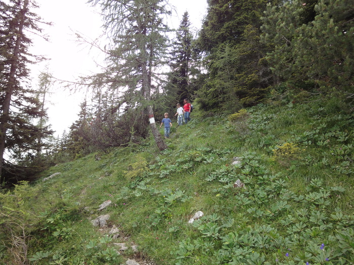 Köglhörndl 05085.JPG