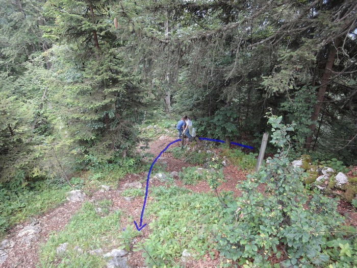 Köglhörndl 05100.JPG
