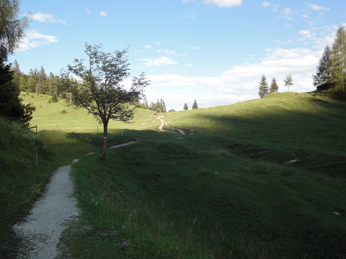 Köglhörndl 05142.JPG