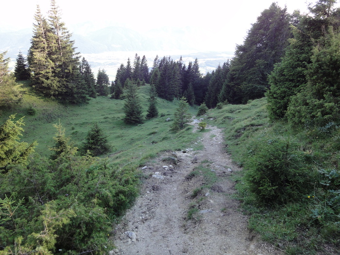 Köglhörndl 05153.JPG