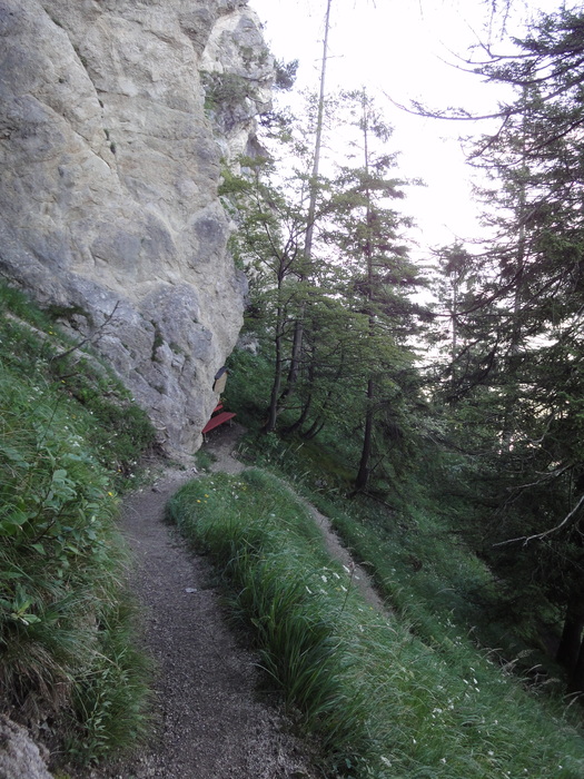 Köglhörndl 05167.JPG