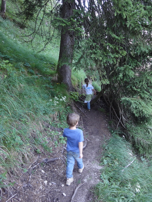 Köglhörndl 05175.JPG