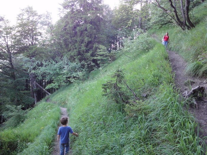 Köglhörndl 05186.JPG