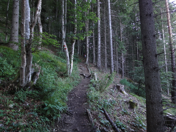 Köglhörndl 05193.JPG