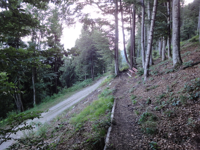Köglhörndl 05195.JPG