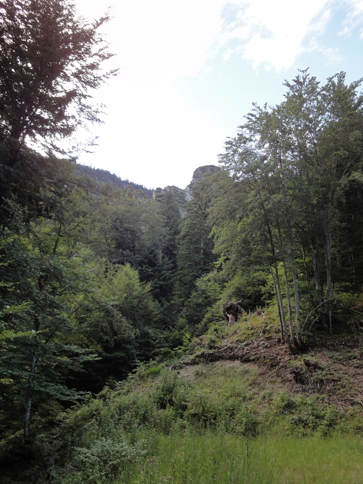 Köglhörndl 05214.JPG
