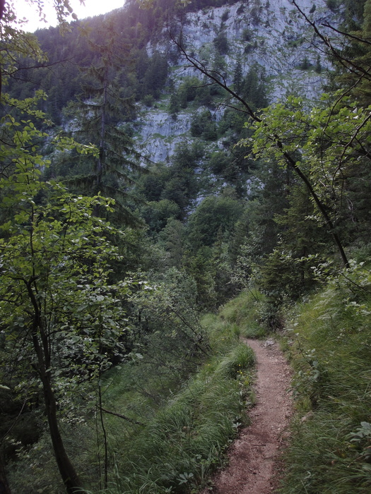Köglhörndl 05222.JPG
