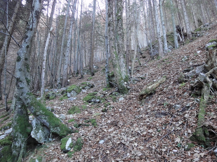 Kofel 08916.JPG