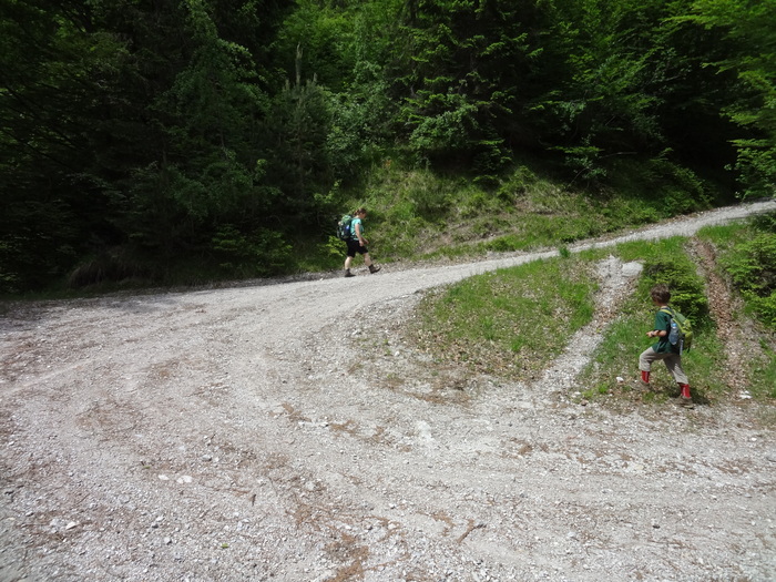 Kragenjoch 04252.JPG