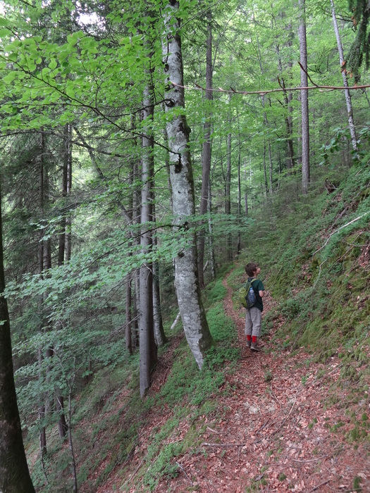 Kragenjoch 04270.JPG