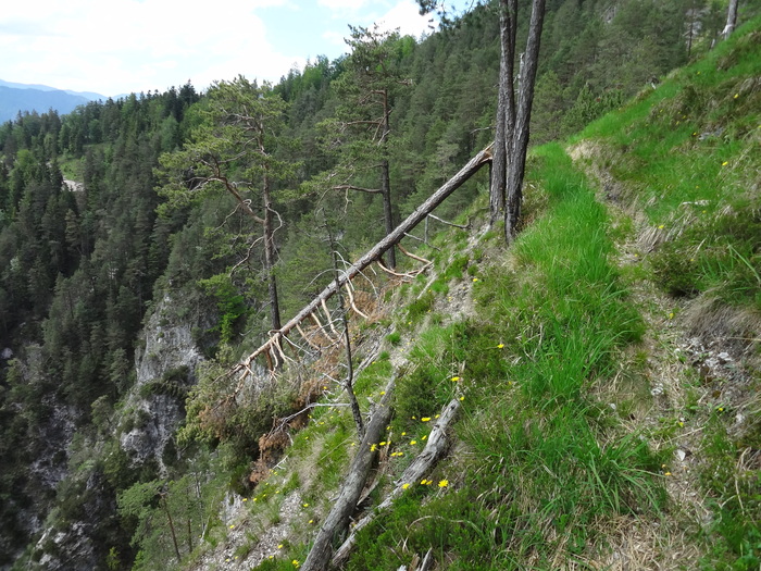 Kragenjoch 04409.JPG