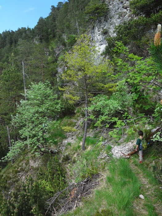 Kragenjoch 04425.JPG