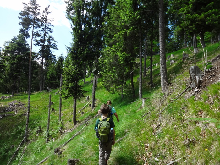 Kragenjoch 04445.JPG