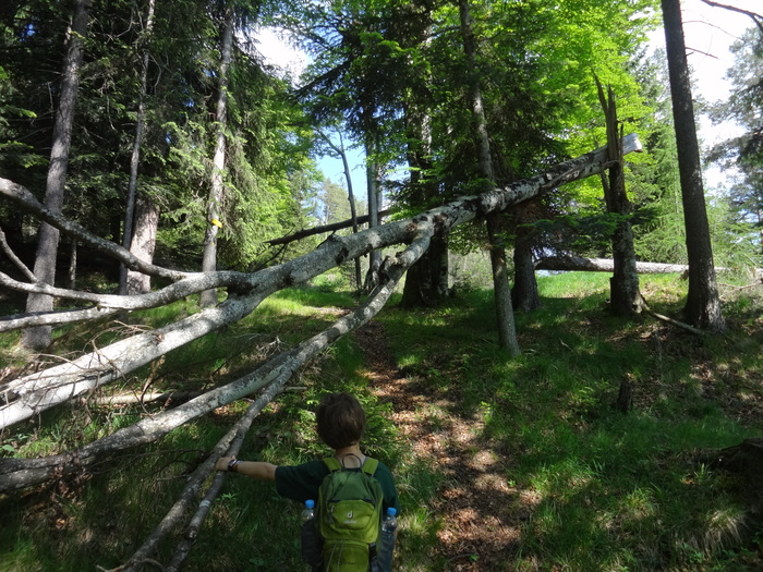 Kragenjoch 04483.JPG