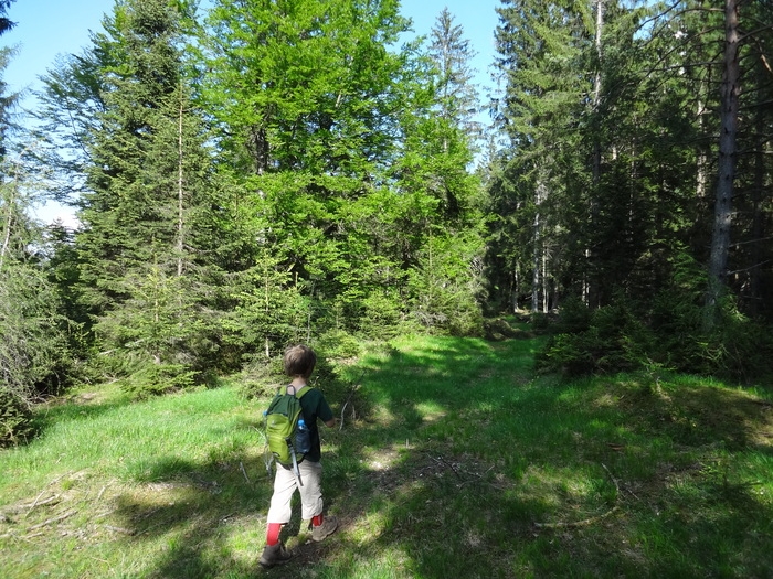 Kragenjoch 04530.JPG