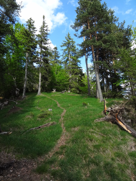 Kragenjoch 04580.JPG