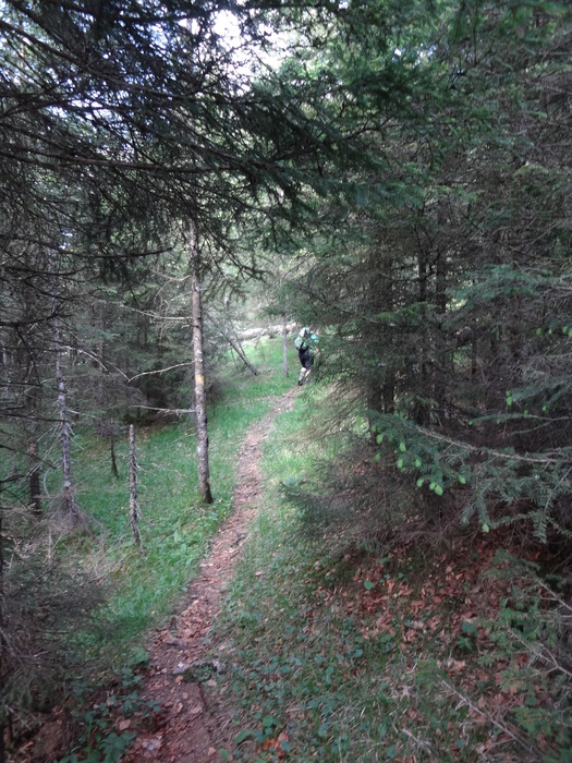 Kragenjoch 04590.JPG