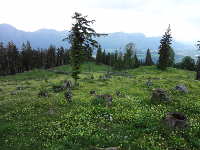 Kragenjoch 04814.JPG