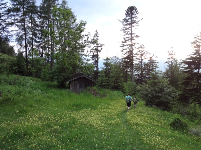 Kragenjoch 04851.JPG