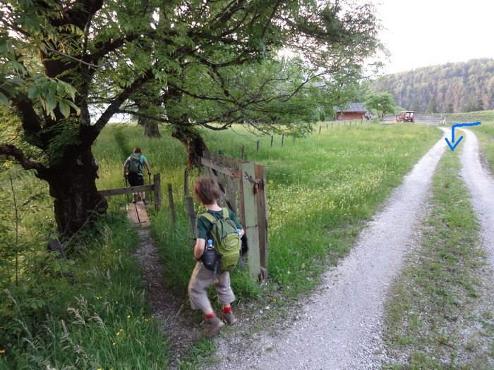 Kragenjoch 04860.JPG