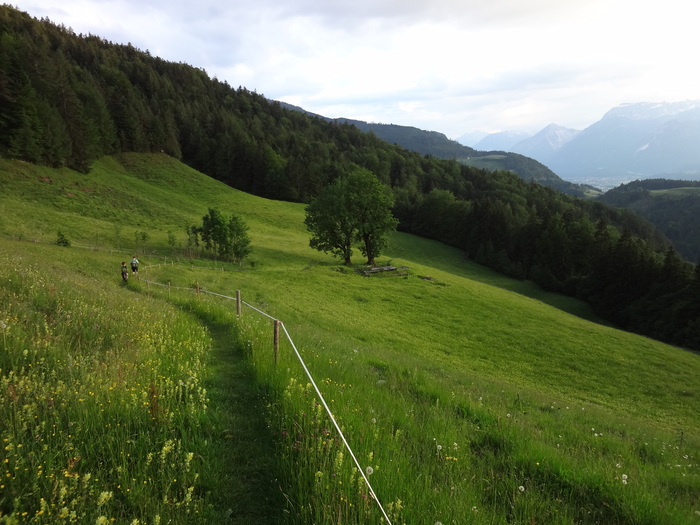 Kragenjoch 04869.JPG