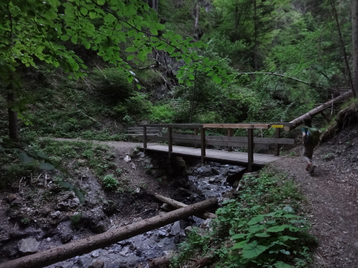 Kragenjoch 04913.JPG