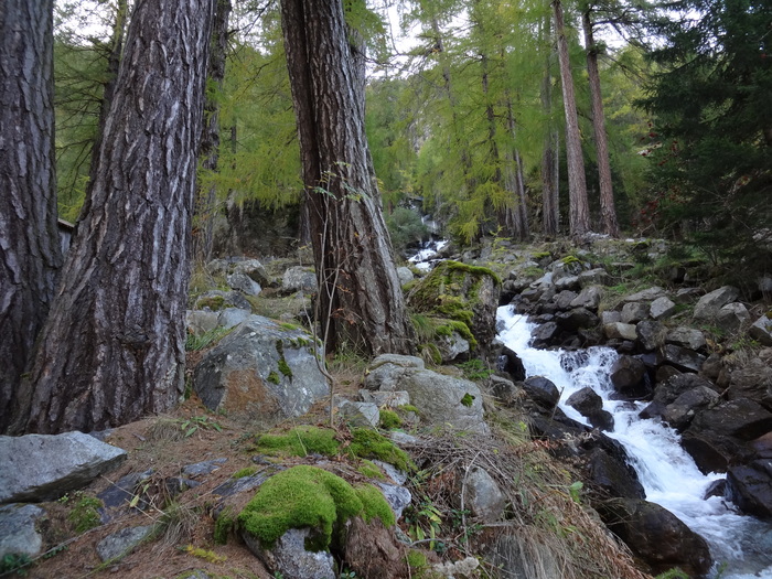 Klettersteig 02591.JPG