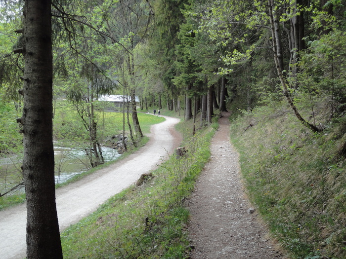 Leutaschklamm 01867.JPG