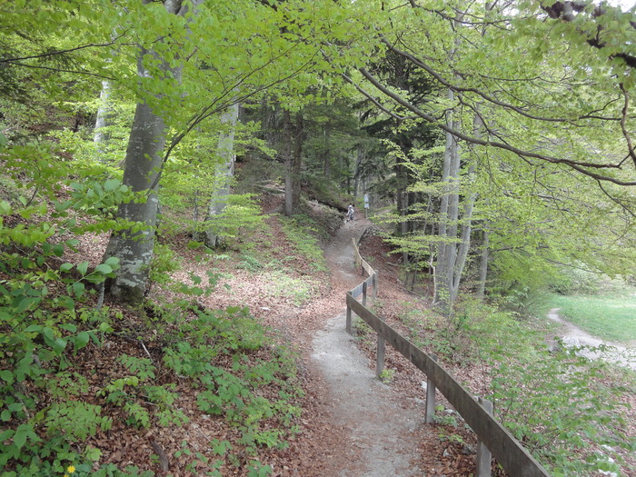 Leutaschklamm 01951.JPG