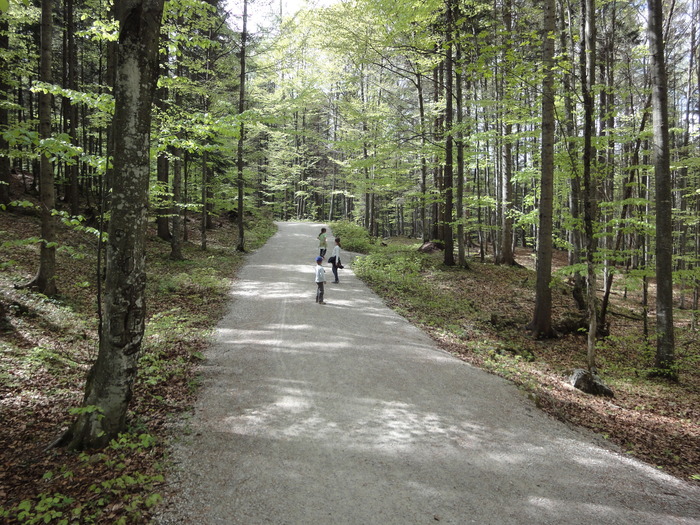 Leutaschklamm 02042.JPG