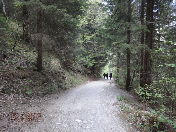 Leutaschklamm 02222.JPG