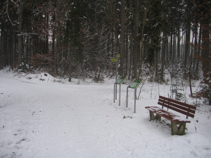 IMG_8482.JPG