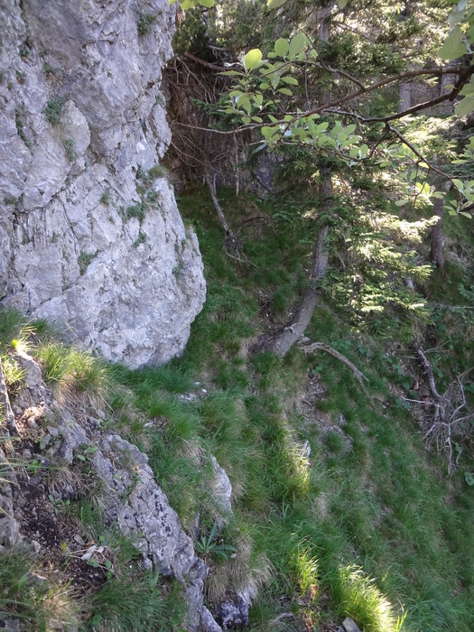 Mineckergrat 00658.JPG