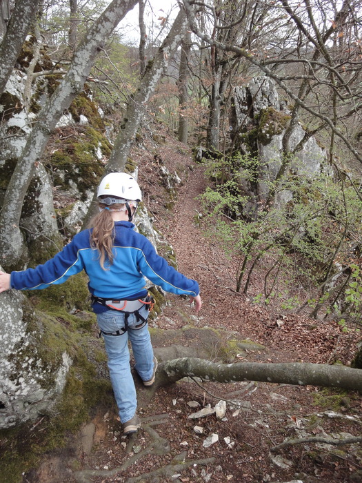 Oberlandsteig 01057.JPG