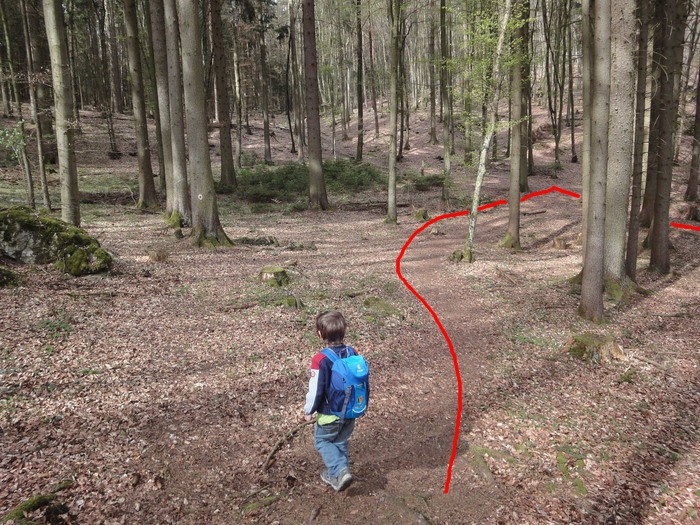 Oberlandsteig 01498.JPG