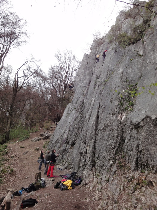 Oberlandsteig 01633.JPG