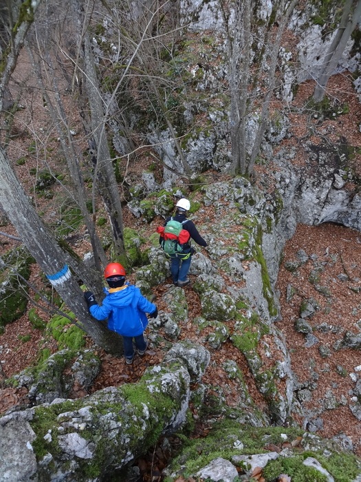 Oberlandsteig 04326.JPG