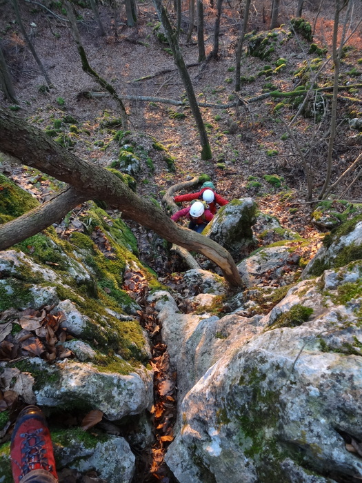 Oberlandsteig 04679.JPG