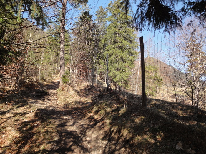 Osterfeuerkopf 00480.JPG