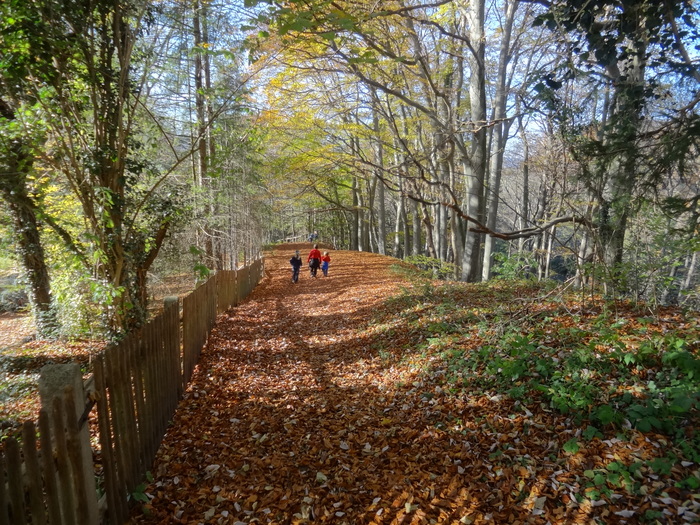 Pählerschlucht 03401.JPG