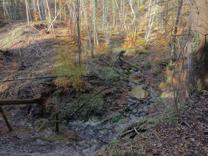 Pählerschlucht 03438.JPG