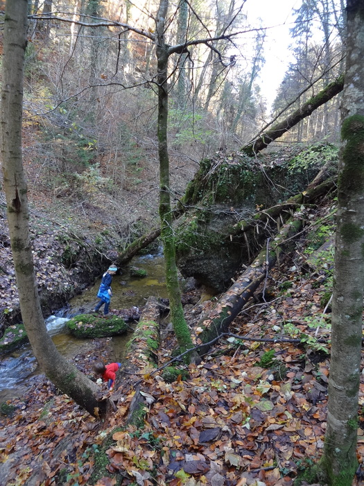 Pählerschlucht 03453.JPG