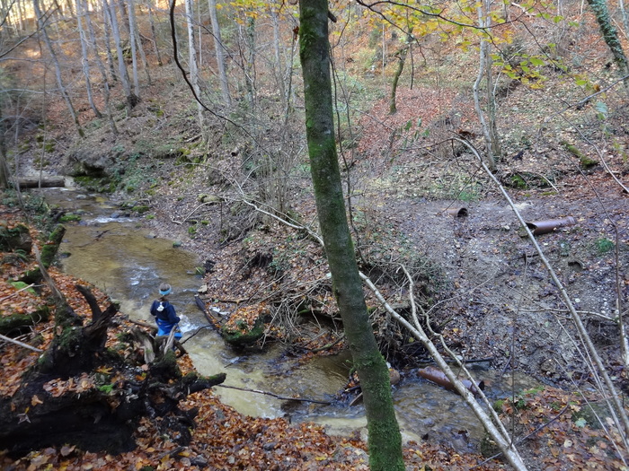 Pählerschlucht 03460.JPG