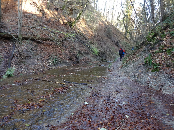 Pählerschlucht 03470.JPG