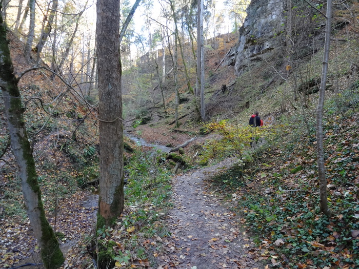 Pählerschlucht 03473.JPG